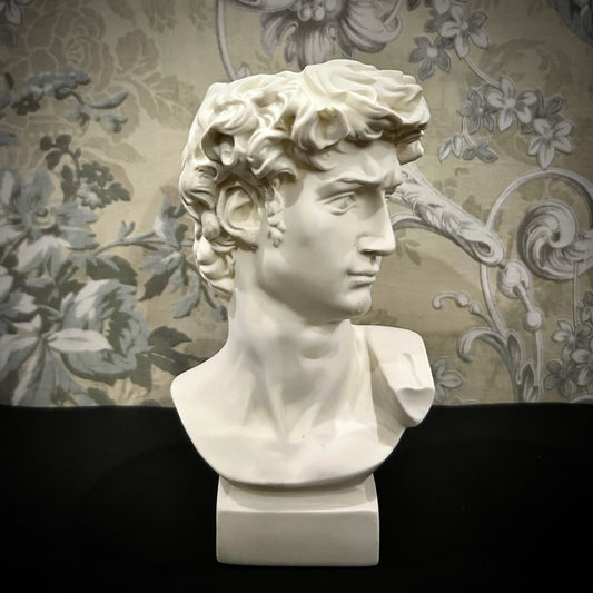 Classic David Bust